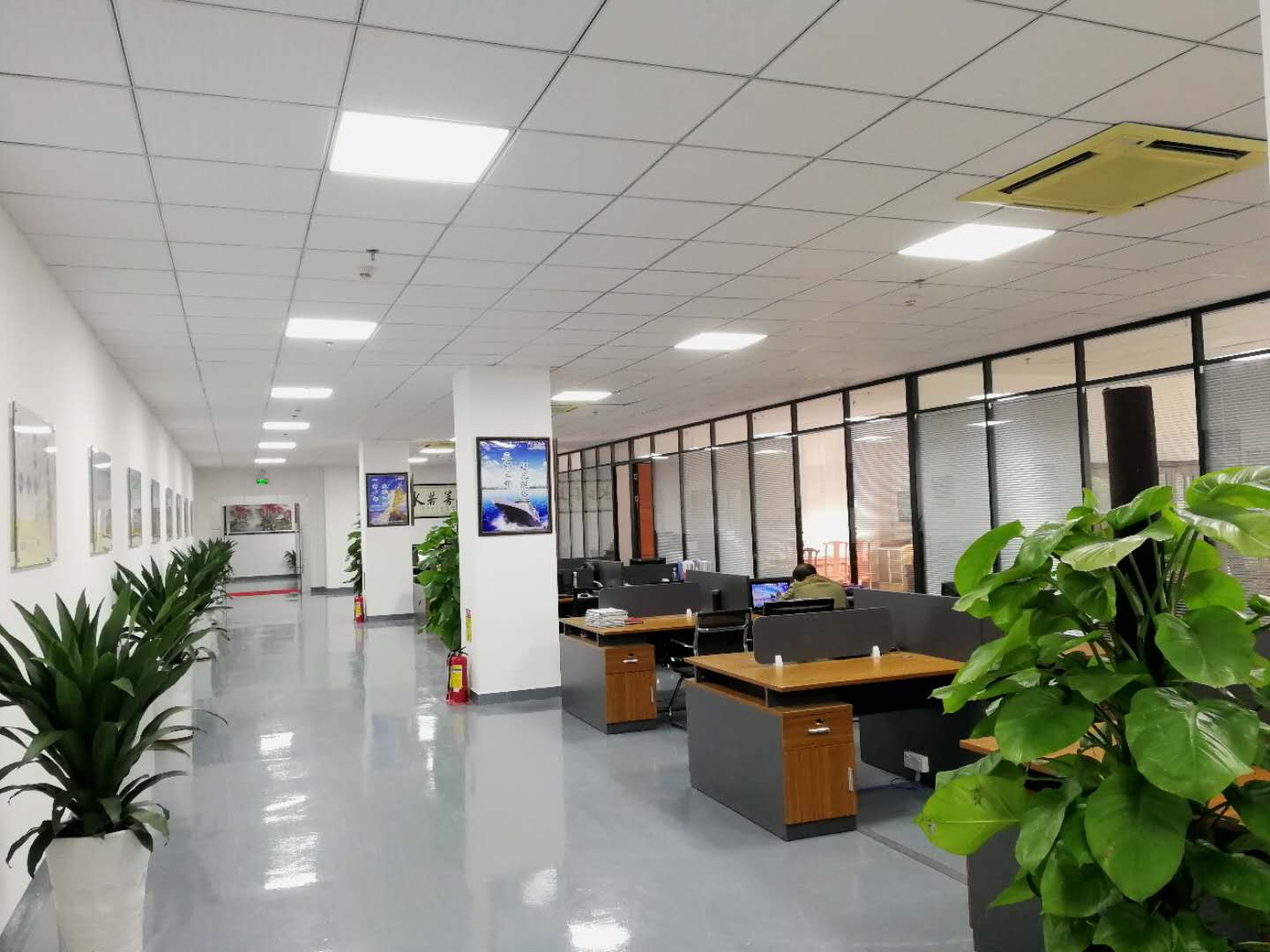 香蕉视频一区二区科實業